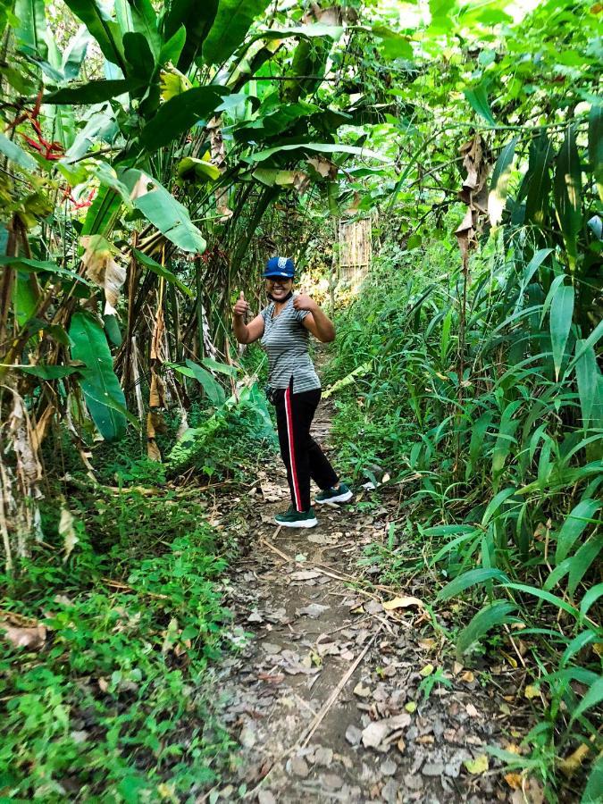 Rayshiva Homestay Ubud Exteriör bild